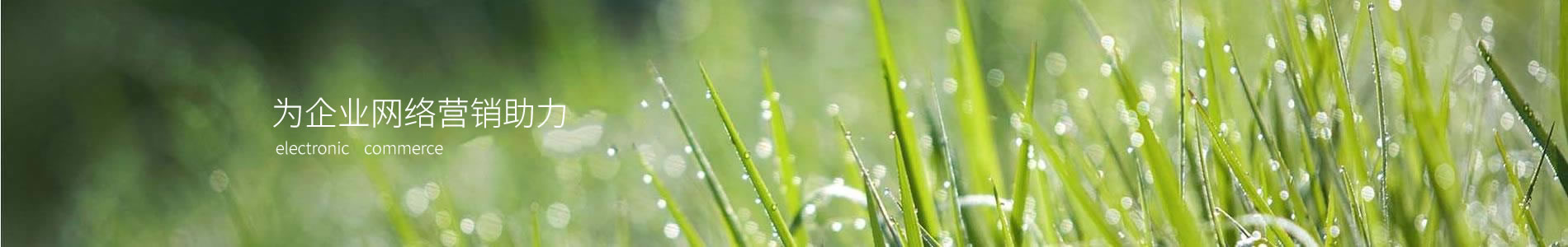 ݰƼ޹˾